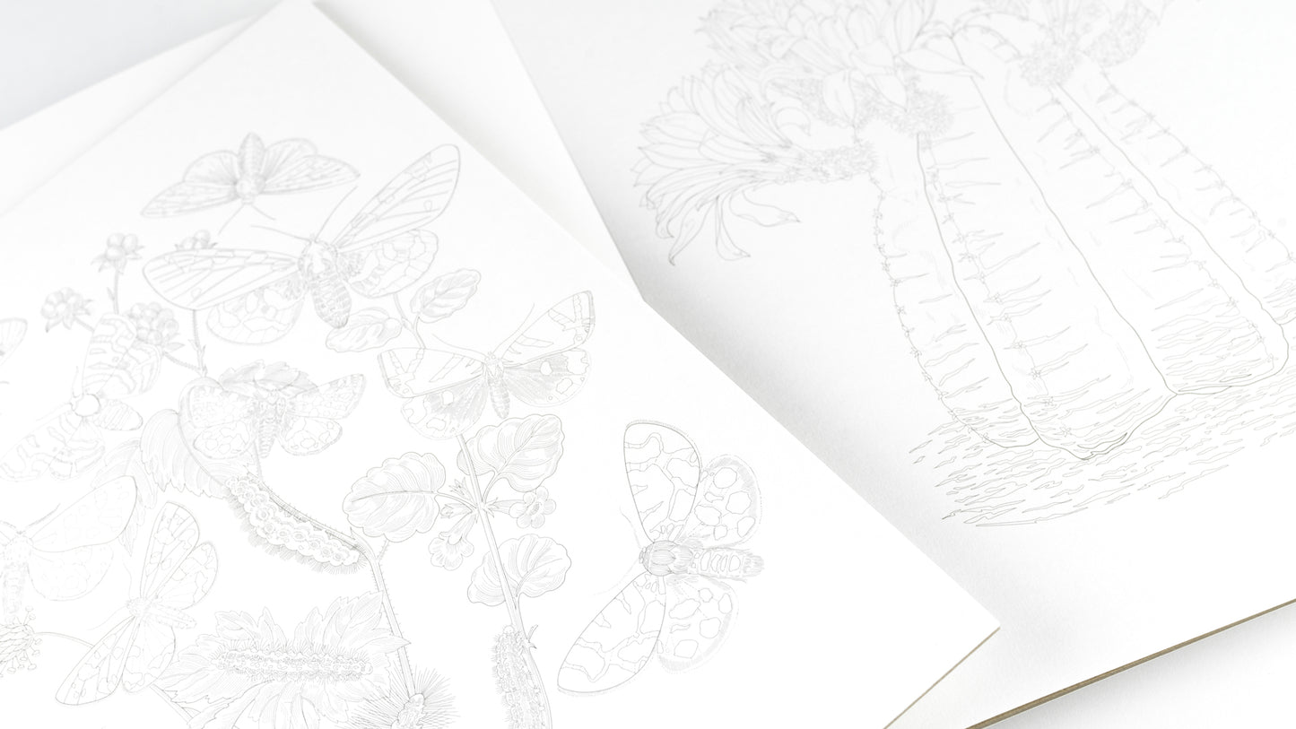 Artists’ Coloring Book