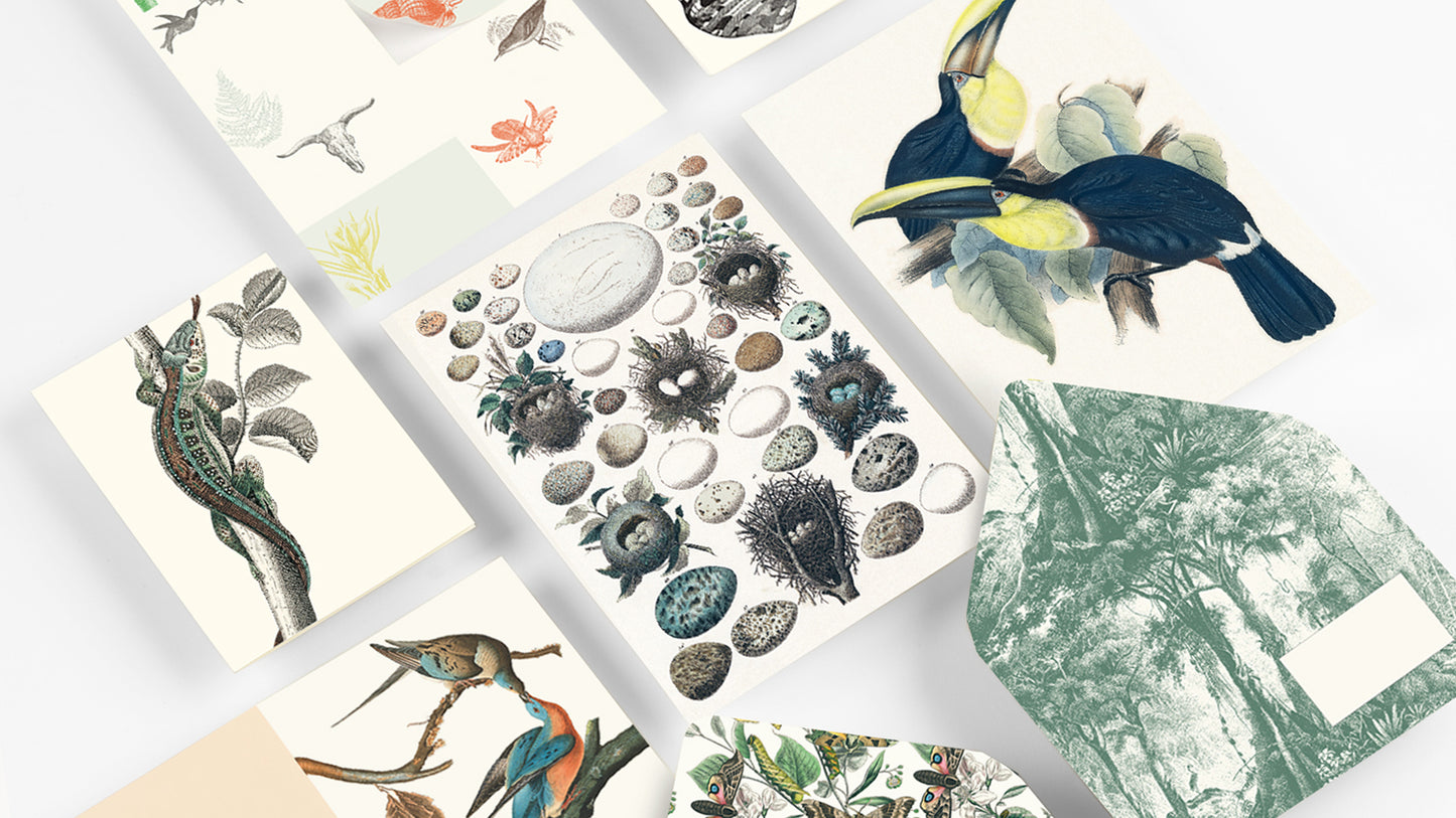 Natural History Correspondence Set