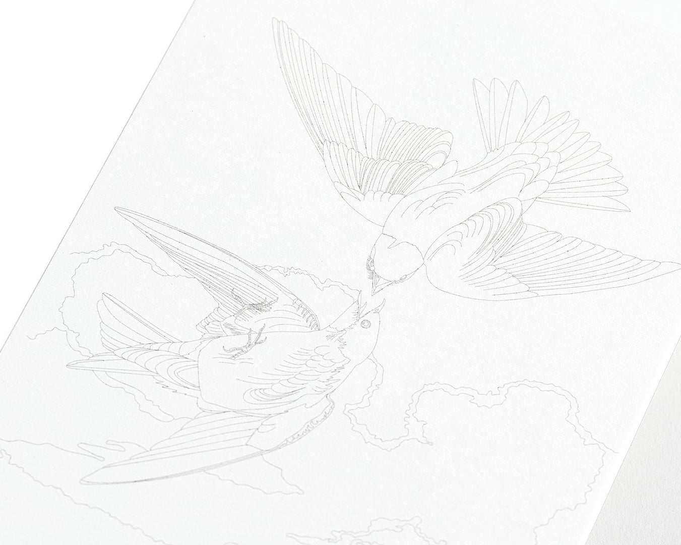 Watercolor Postcard Book
