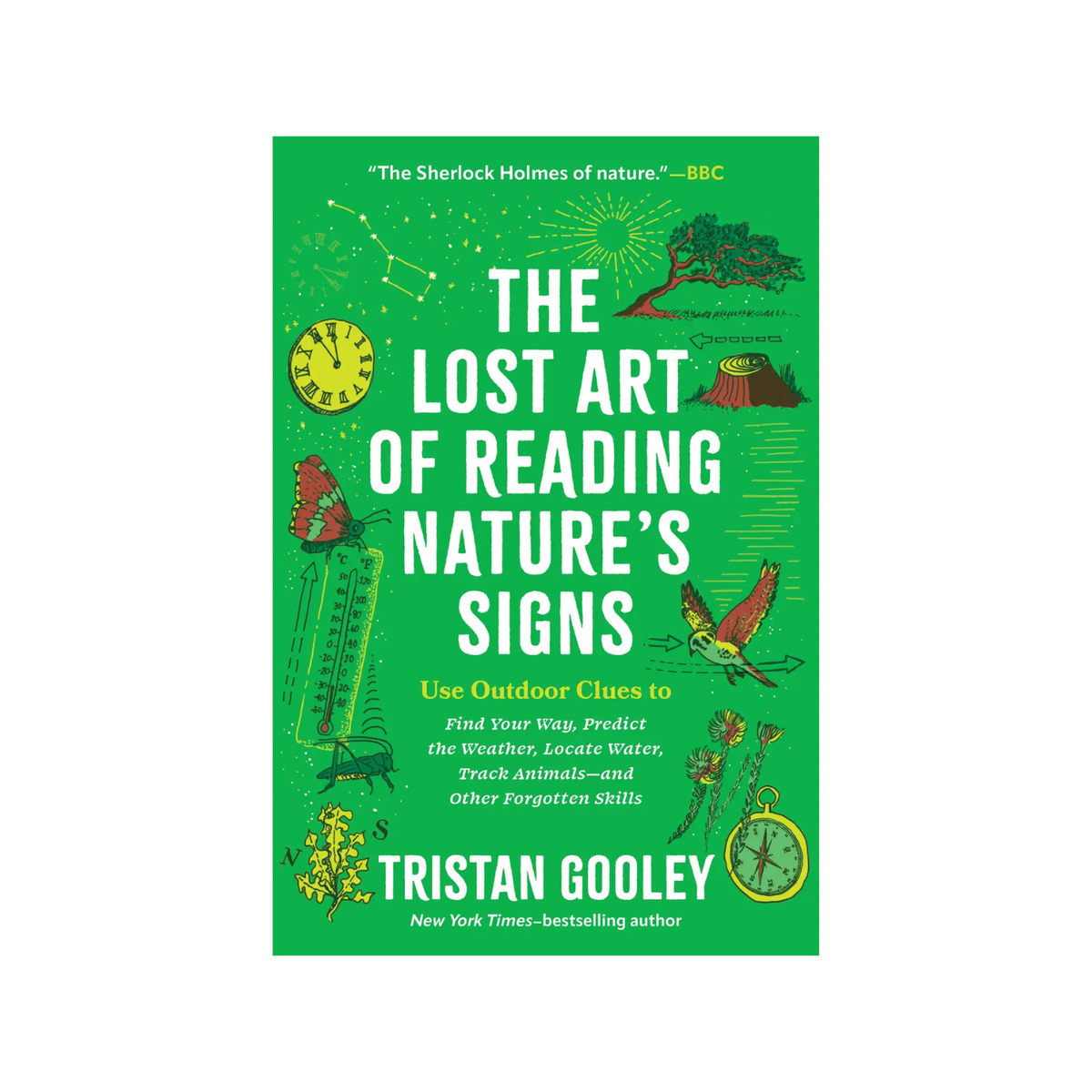The Lost Art of Reading Nature's Signs