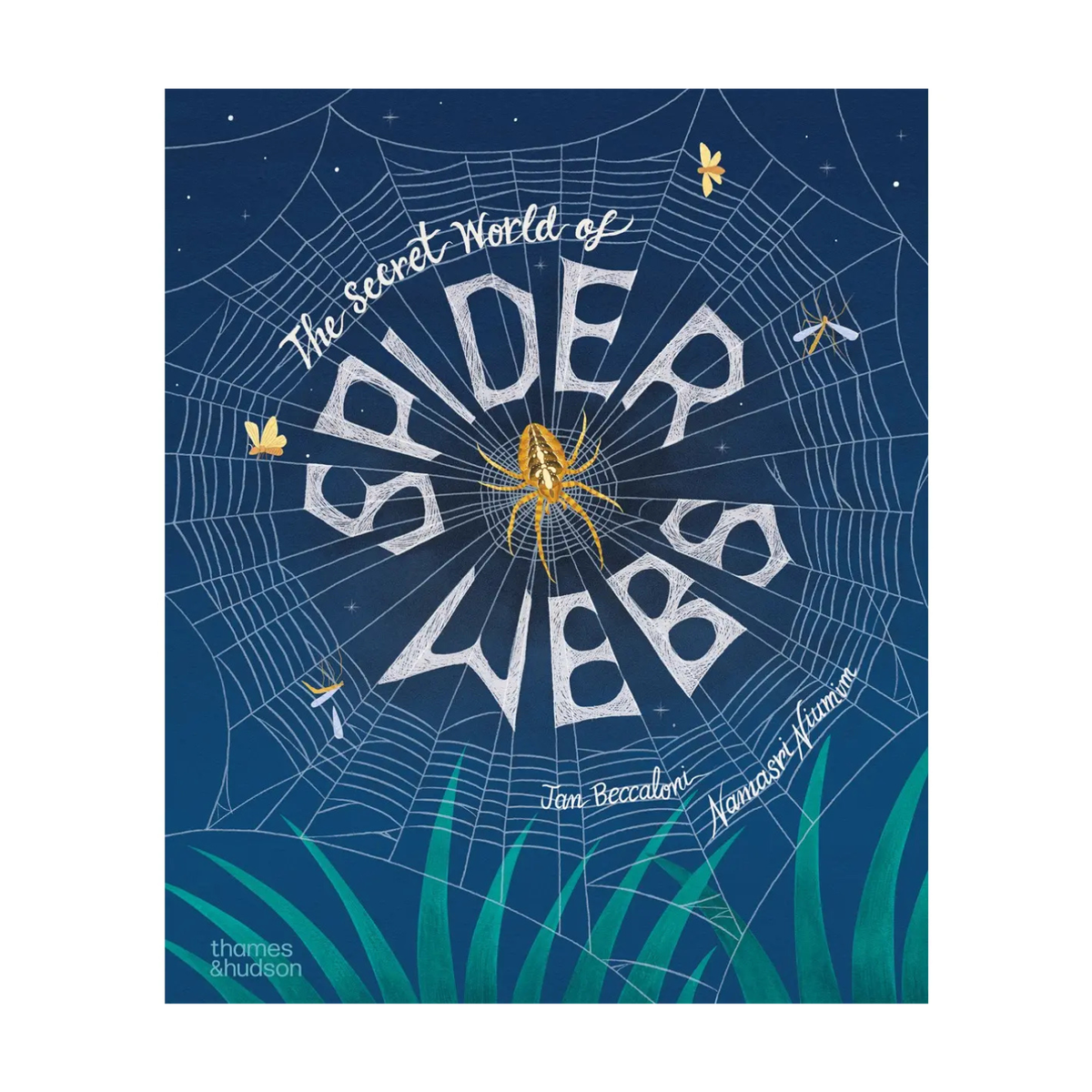 The Secret World of Spiderwebs