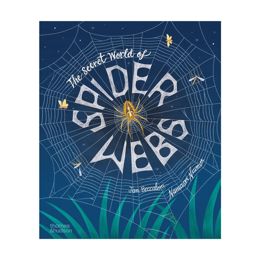 The Secret World of Spiderwebs