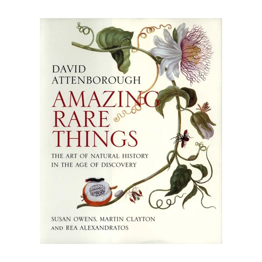 Amazing Rare Things: the Art of Natural History in the Age of Discovery