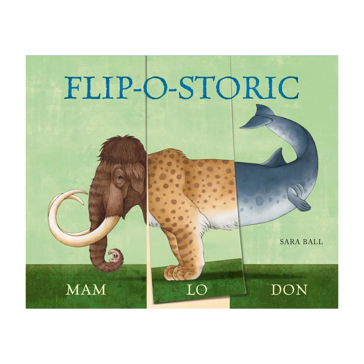 Flip-O-Storic