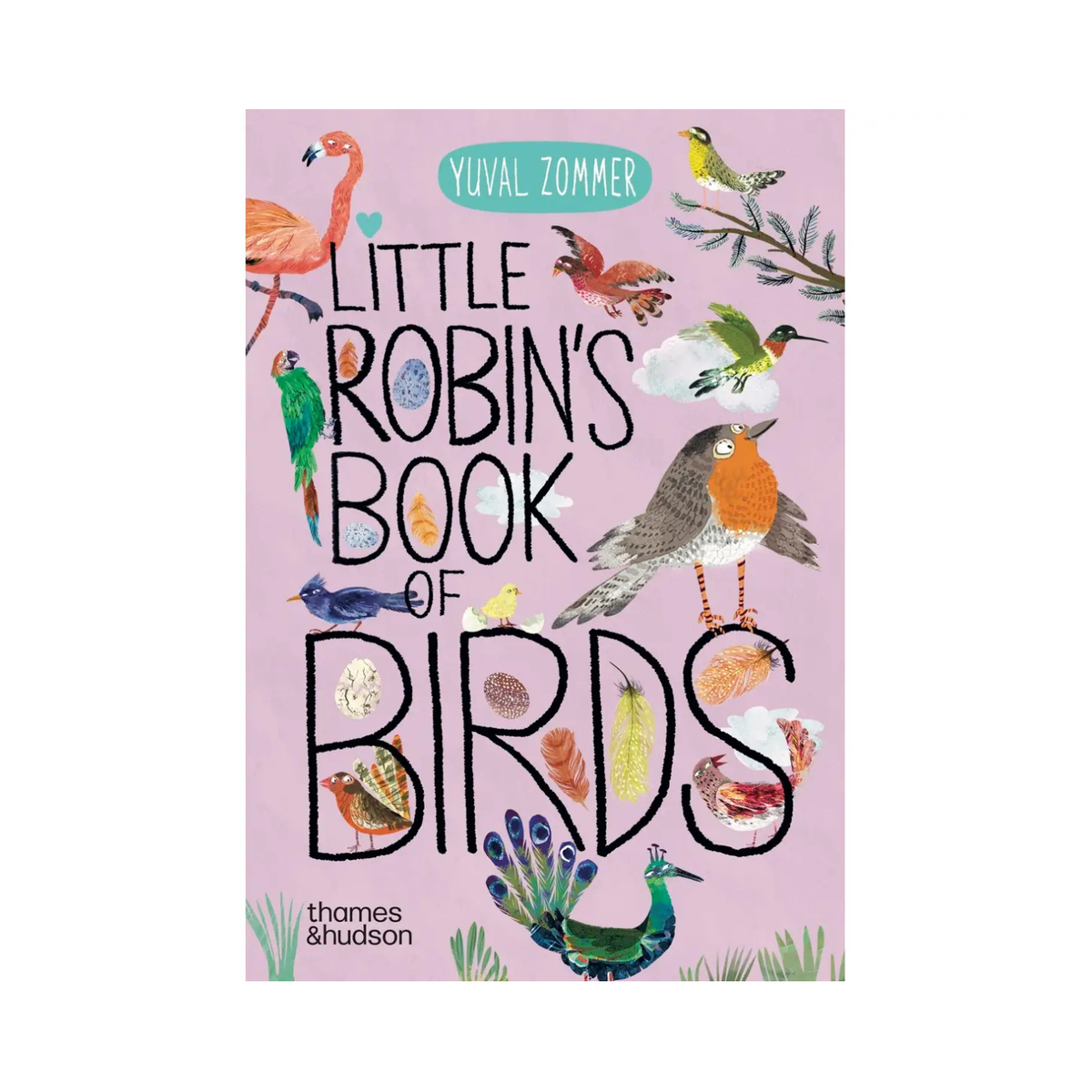 Little Robin's Book of Birds