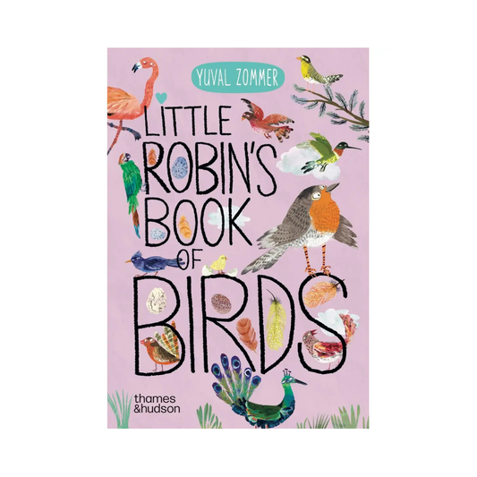 Little Robin's Book of Birds
