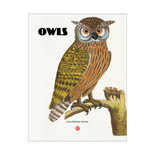 Owls Coloring Book