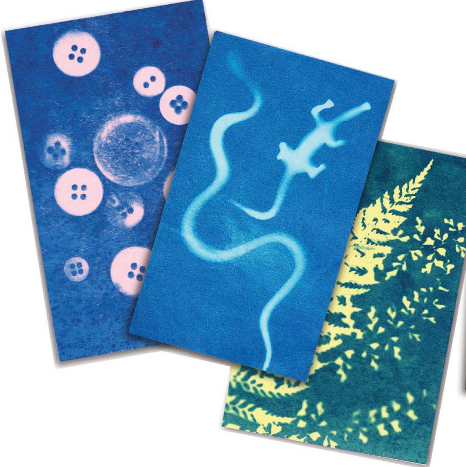 Sunography Color Cards