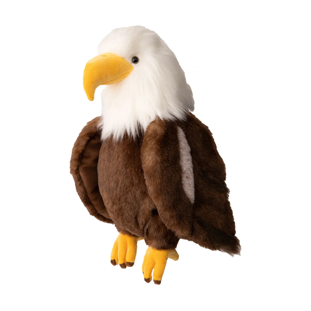 Scout Bald Eagle