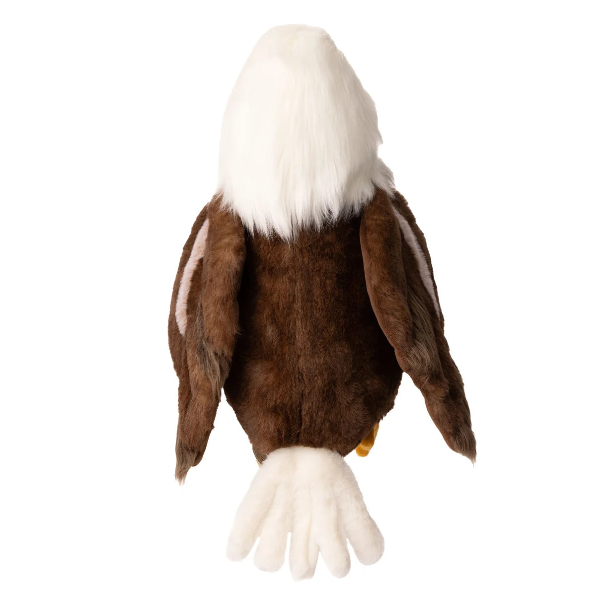 Scout Bald Eagle