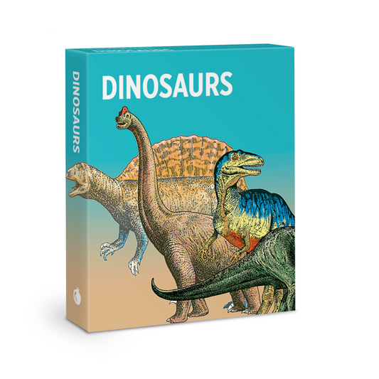 Dinosaurs Knowledge Cards