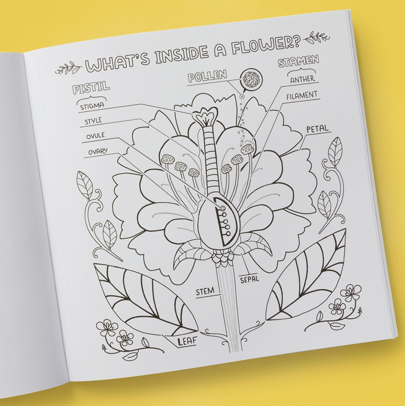 What's Inside Garden Coloring Book