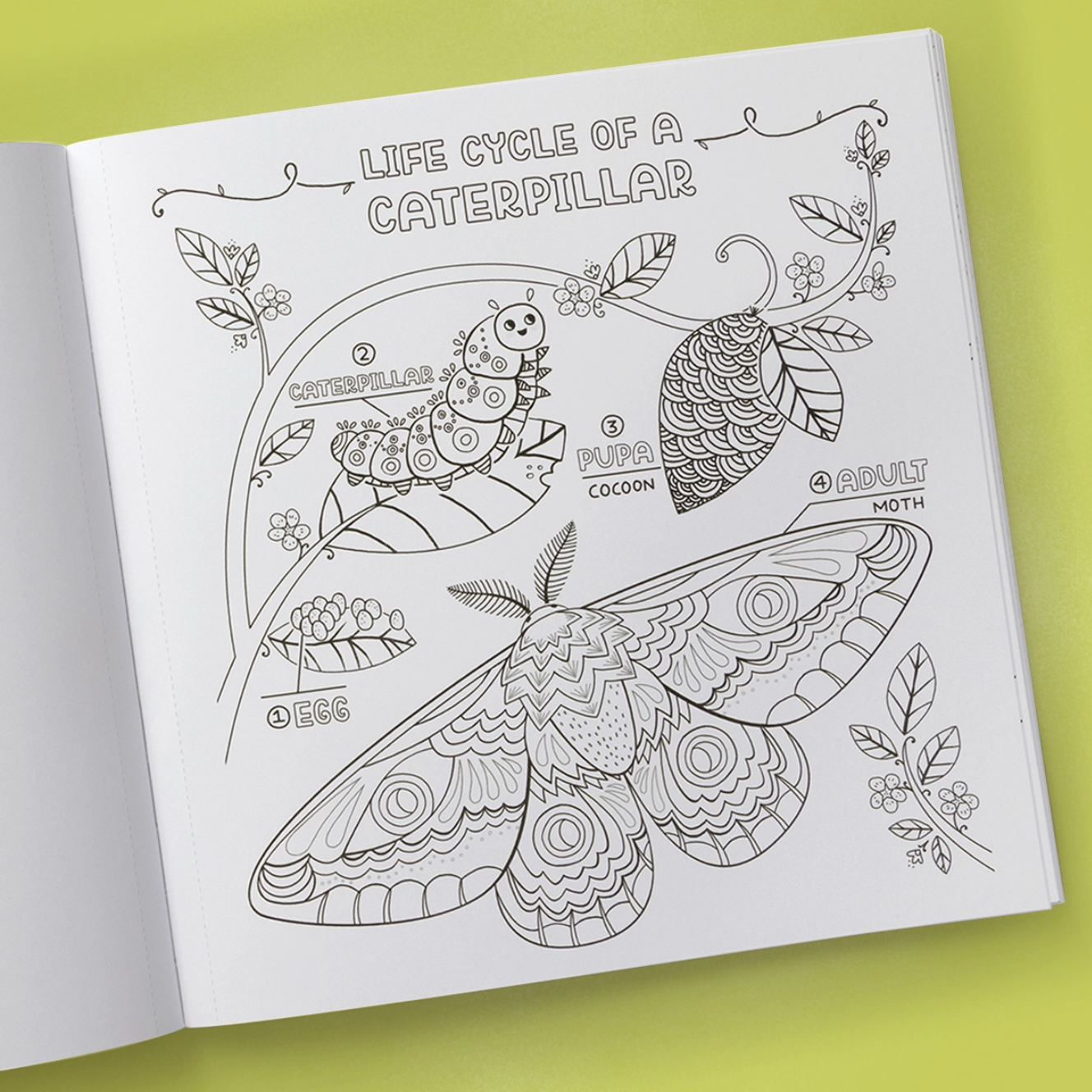 What's Inside Garden Coloring Book