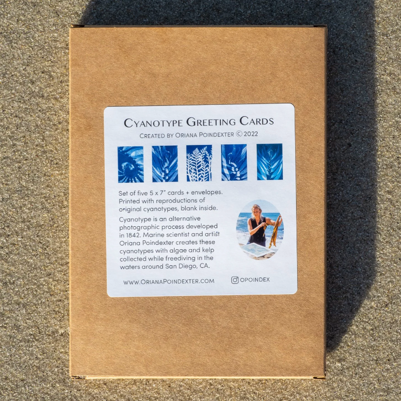 Cyanotype Greeting Cards Box Set