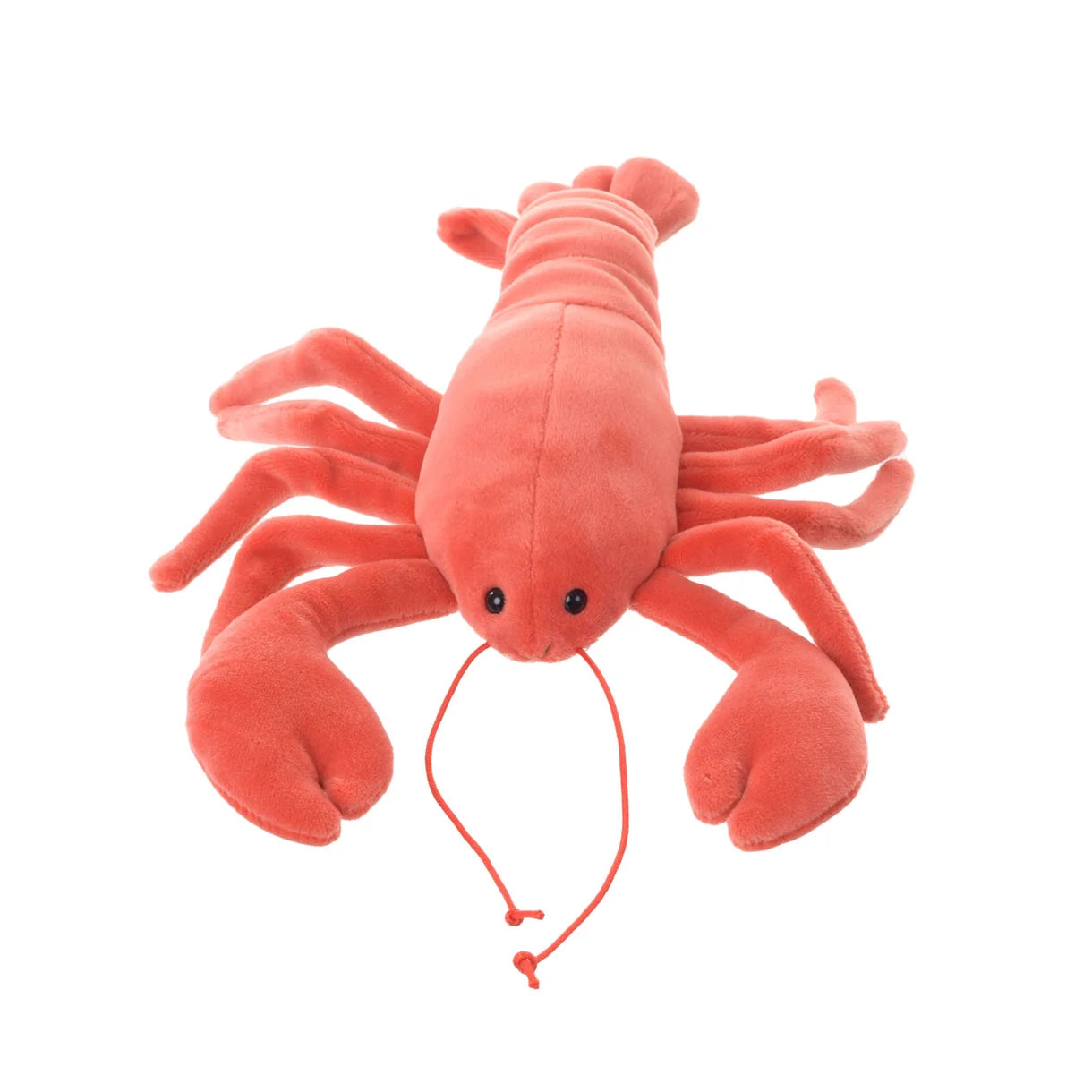 Shelly Lobster