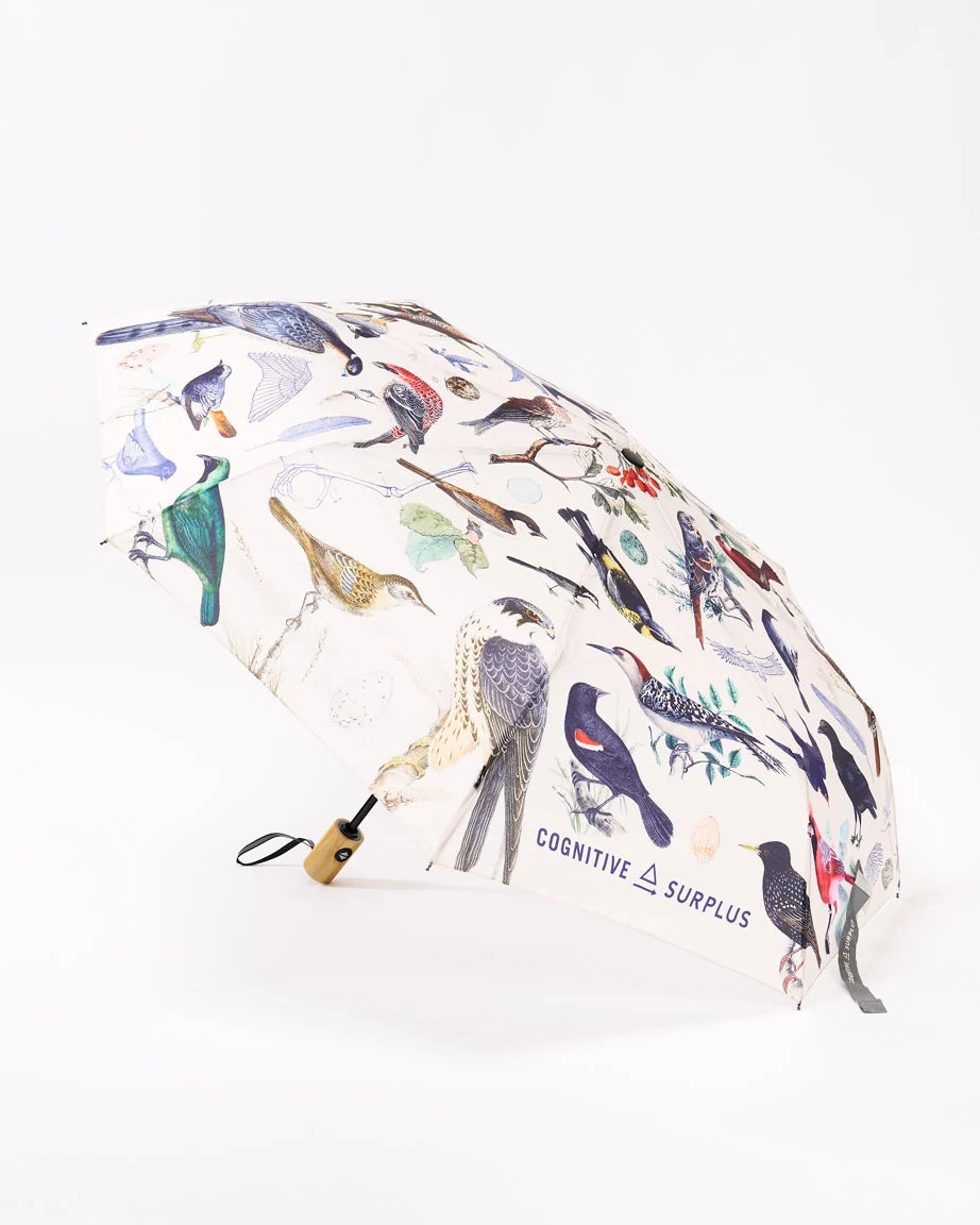 Cognitive Surplus Umbrella