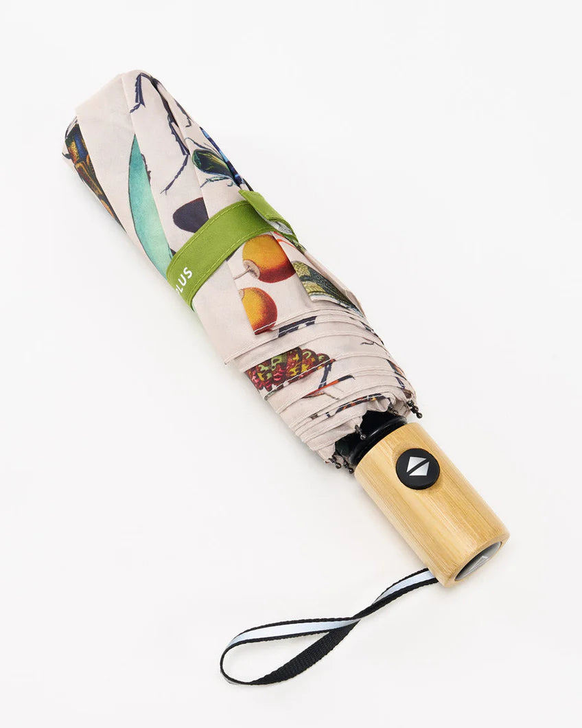 Cognitive Surplus Umbrella