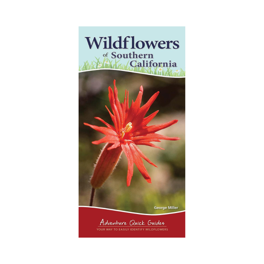 Wildflowers of Southern California