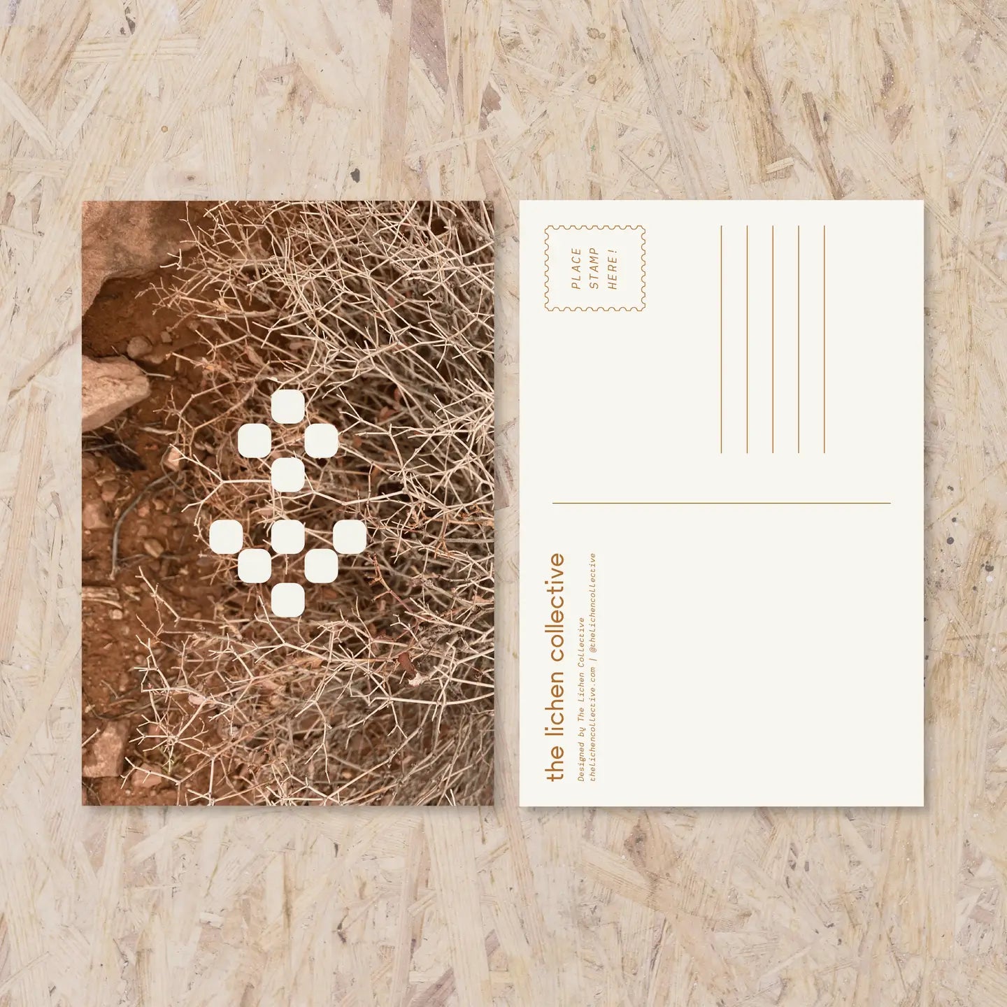 A Weed Is A Flower Postcard