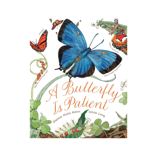 A Butterfly is Patient