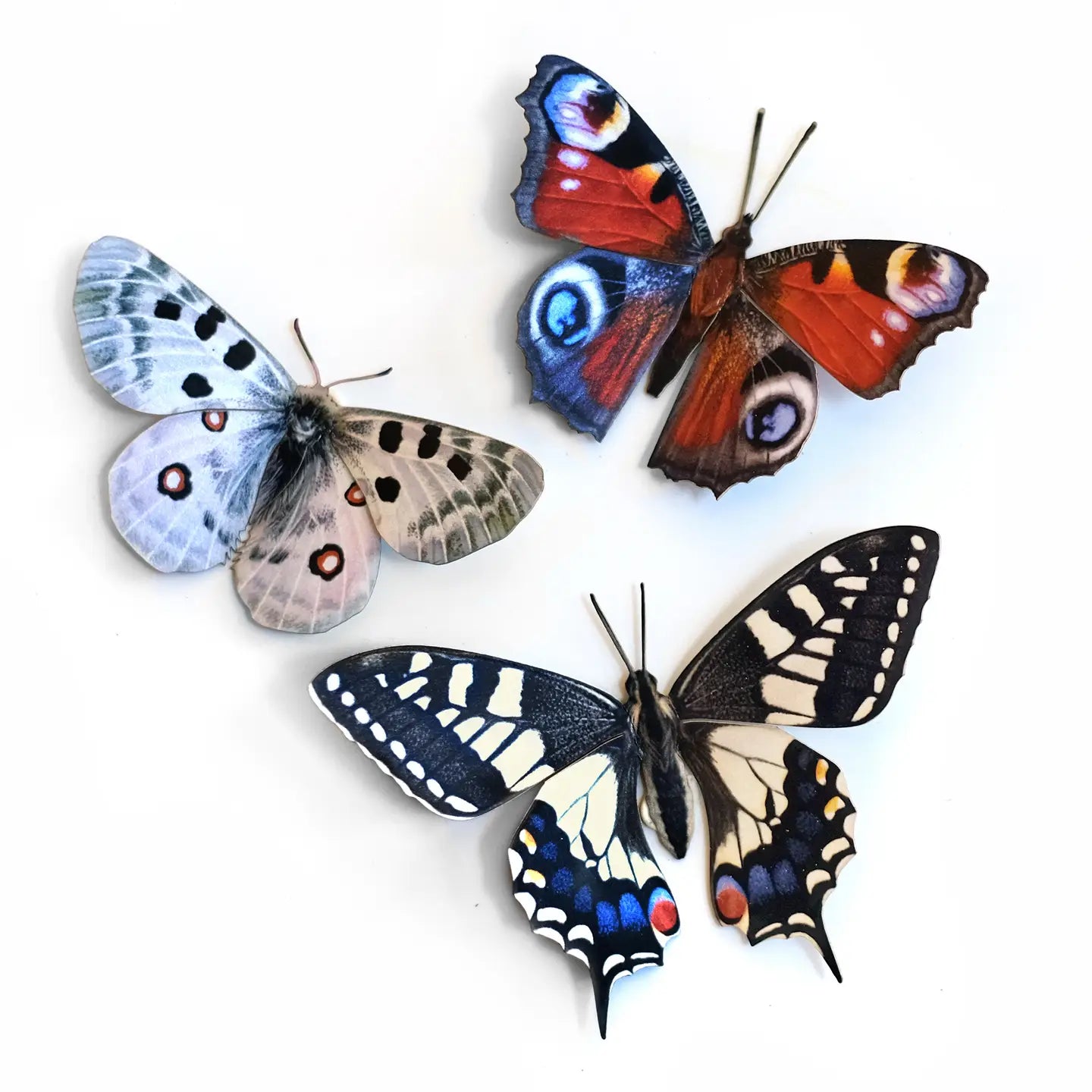 Butterfly Fine Paper Specimens