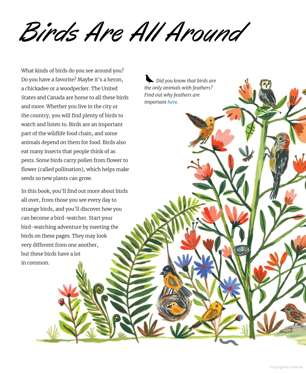 Nature All Around: Birds