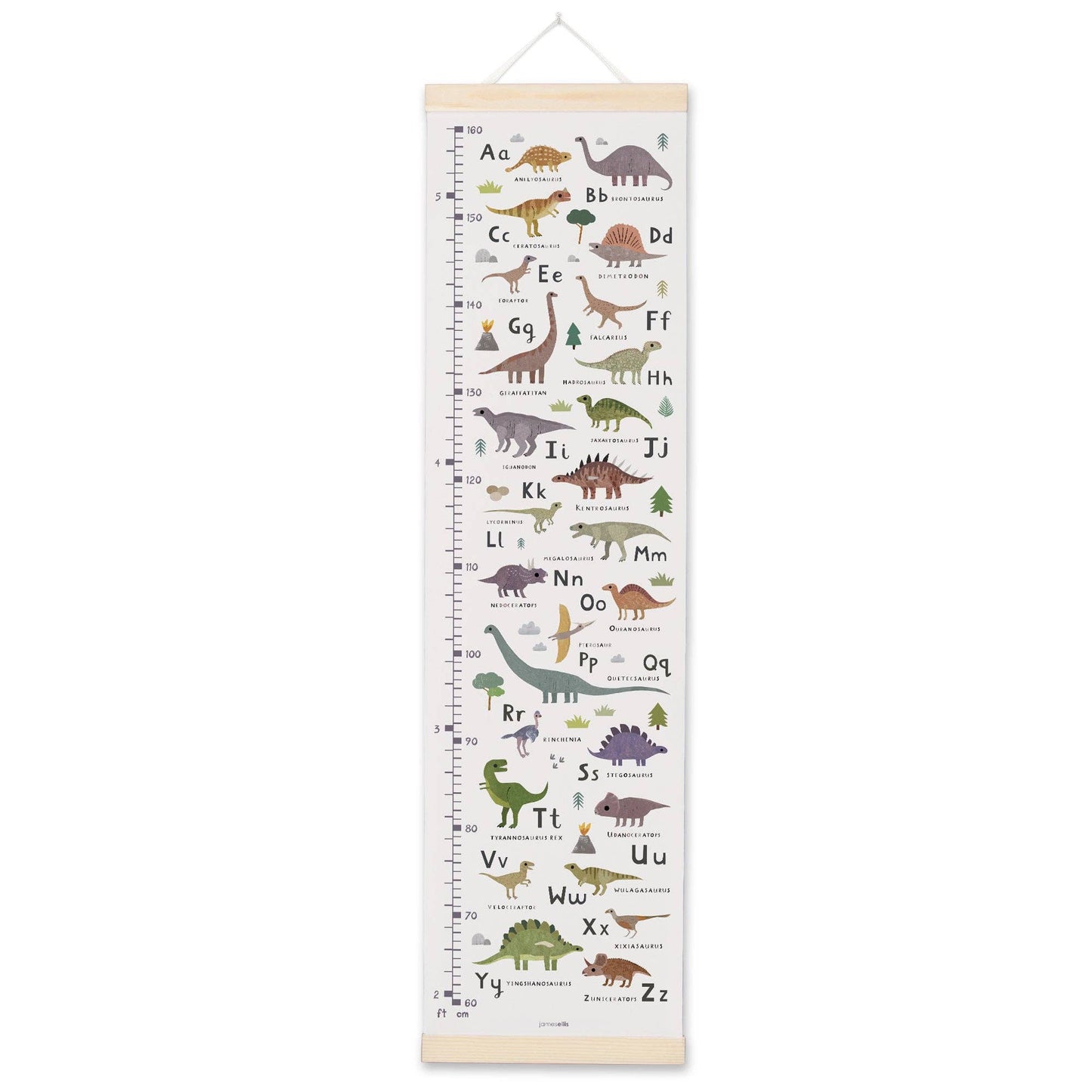 Alphabet Growth Height Chart