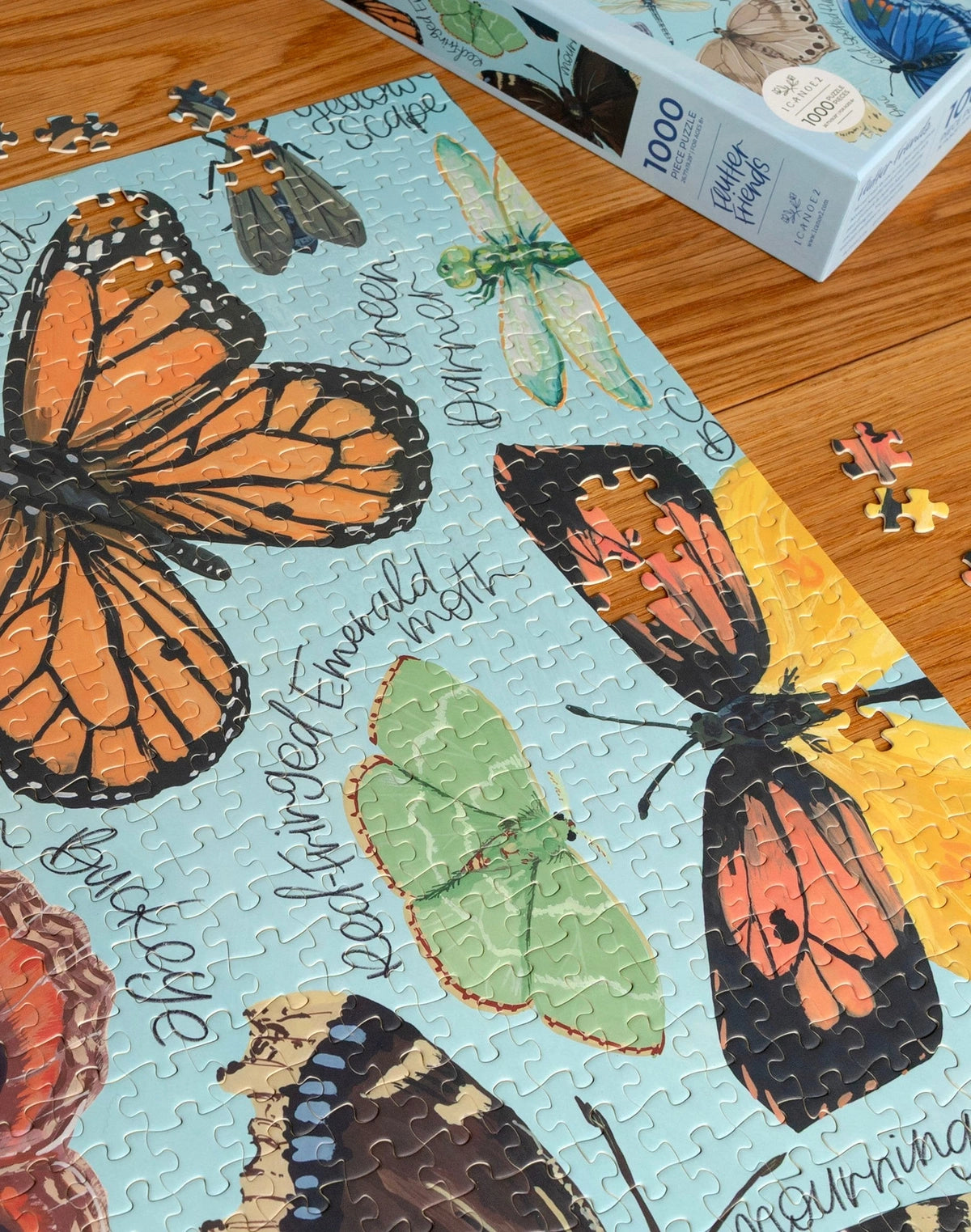 Flutter Friends 1000 Piece Puzzle