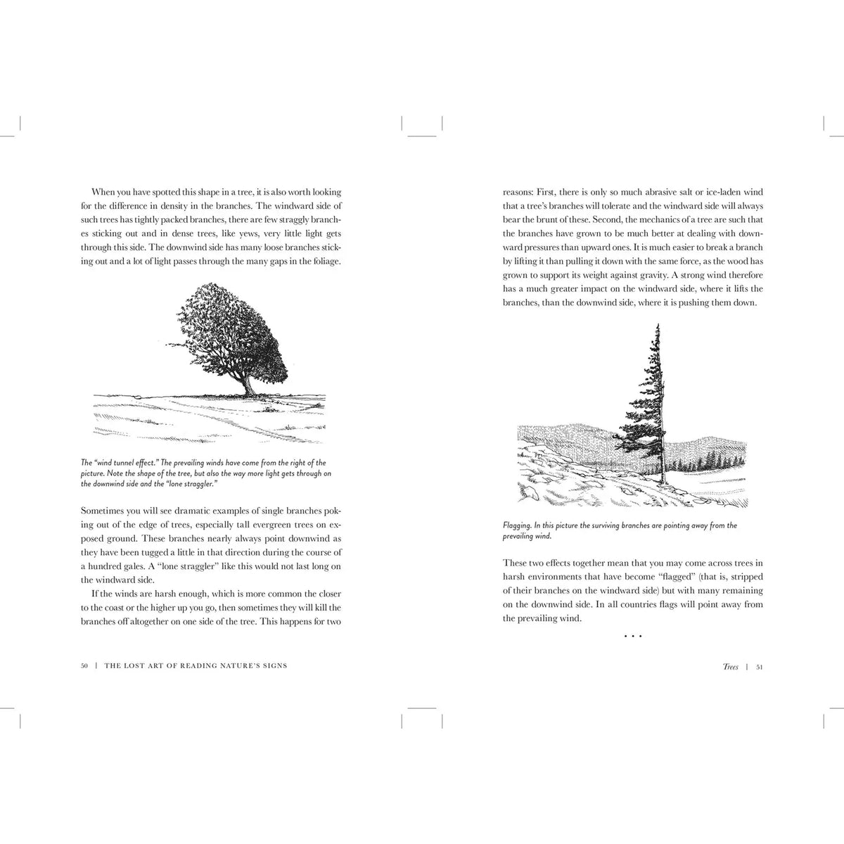 The Lost Art of Reading Nature's Signs