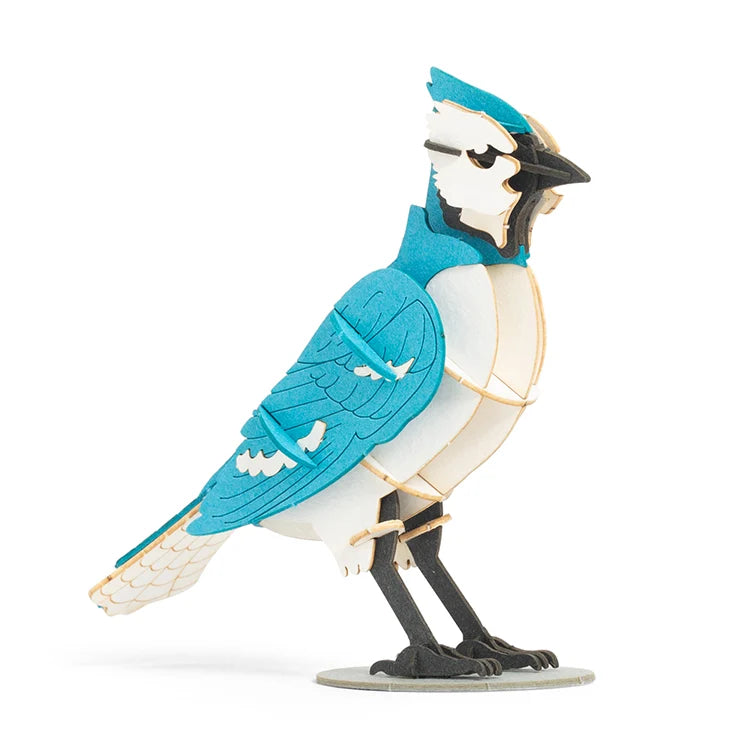 3D Blue Jay Puzzle