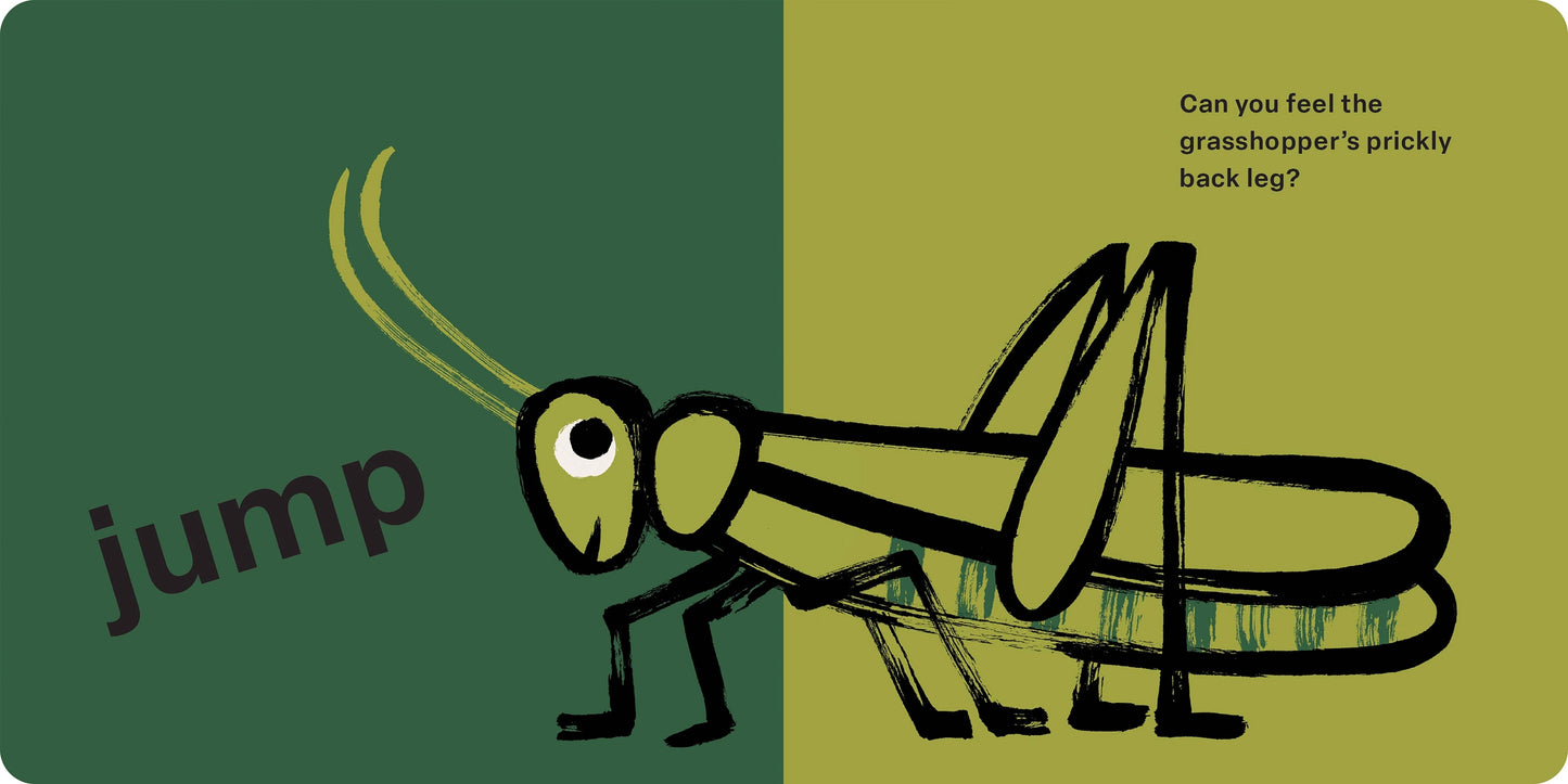 Touch and Feel: Bugs