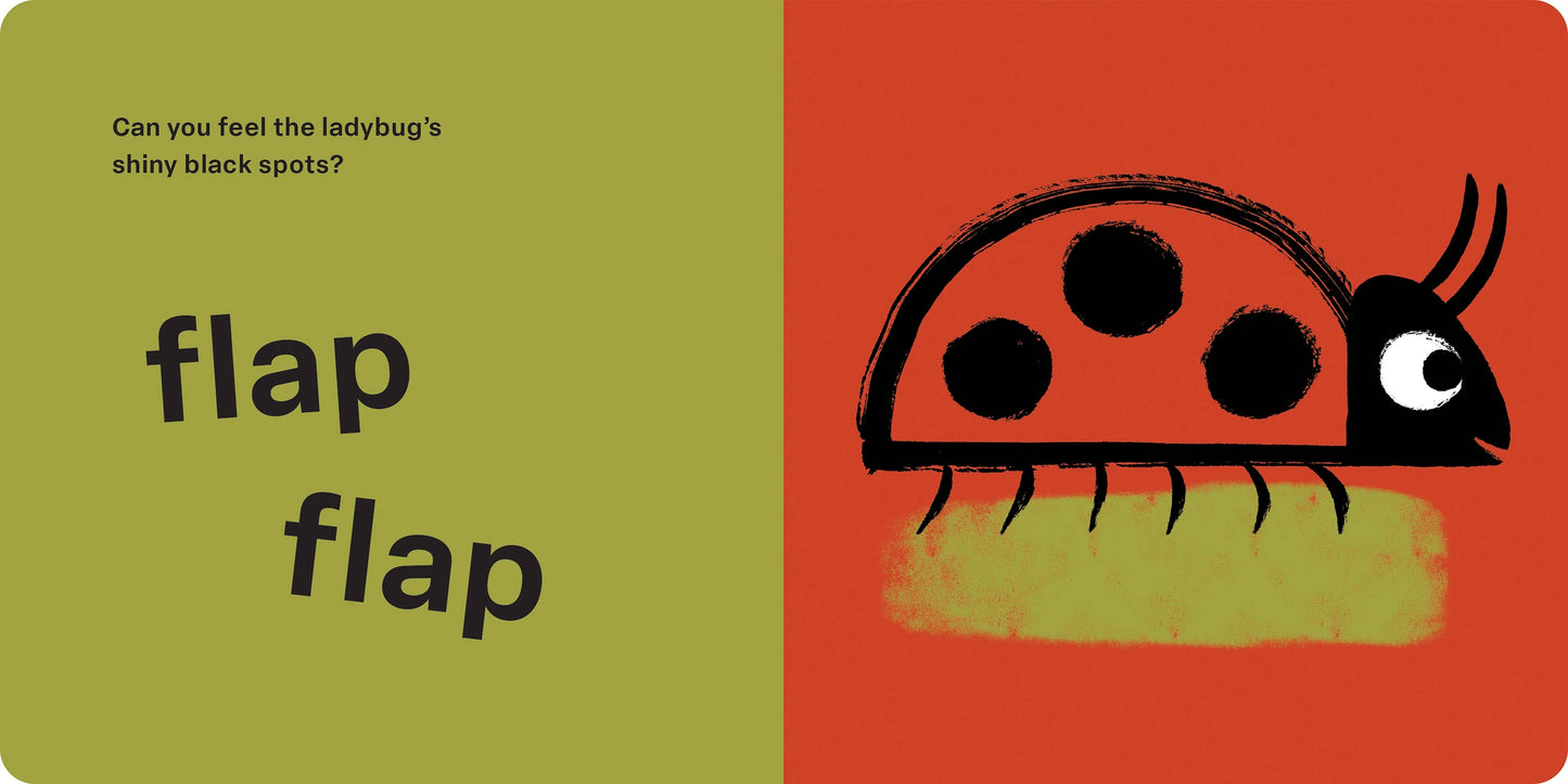 Touch and Feel: Bugs