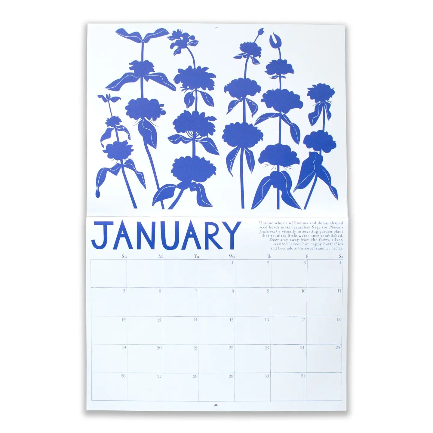 2025 Calendar Drought Tolerant Plants