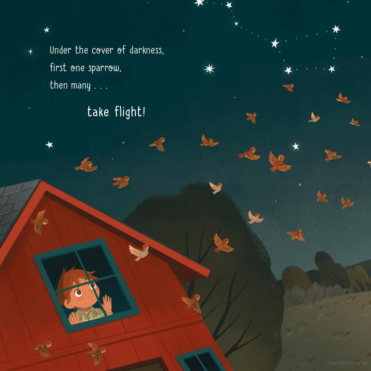 Lights Out
