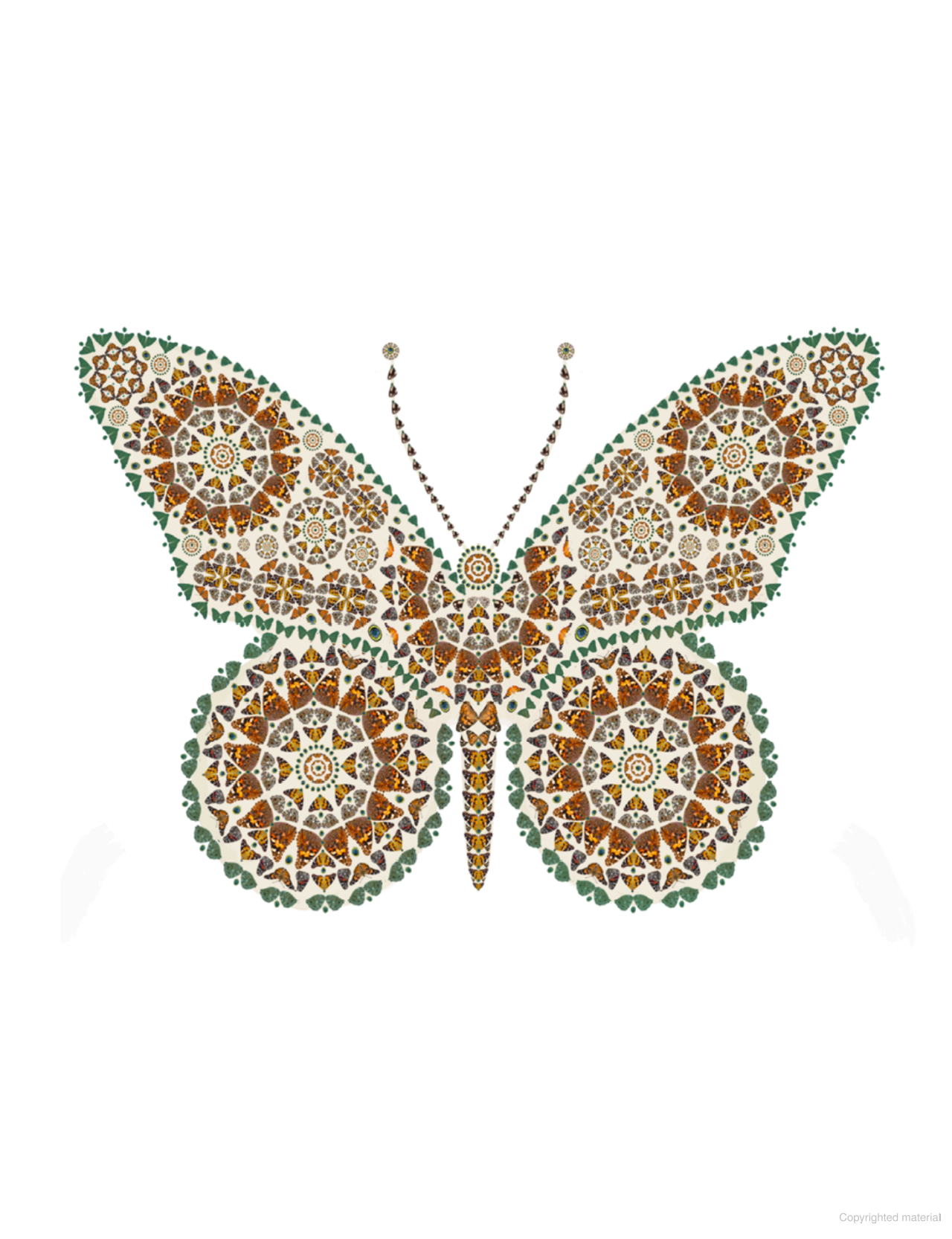 On a Butterfly's Wing