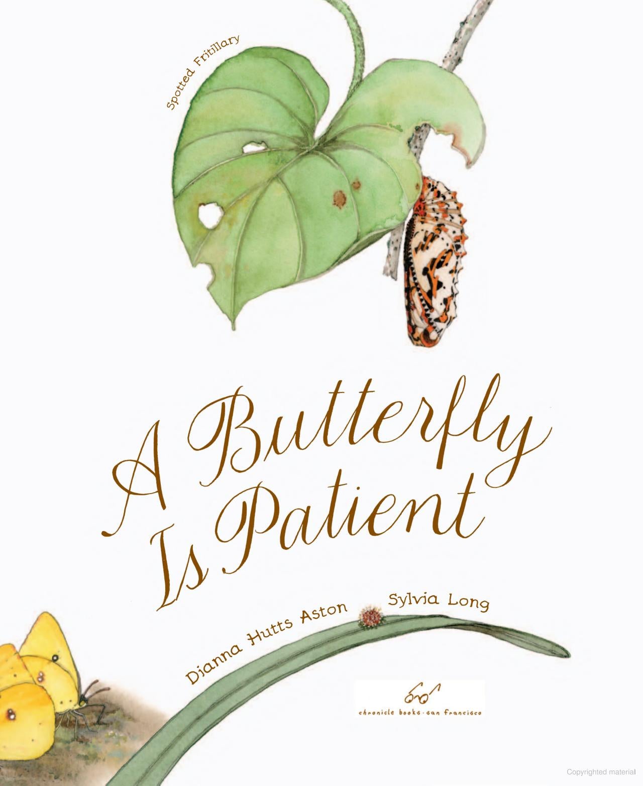 A Butterfly is Patient