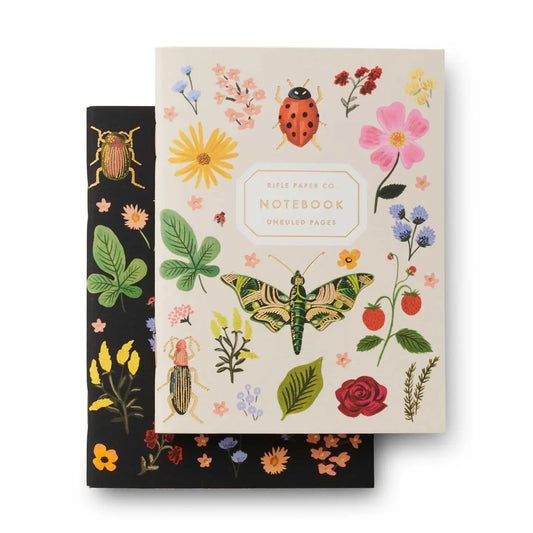 Pair of 2 Curio Pocket Notebooks