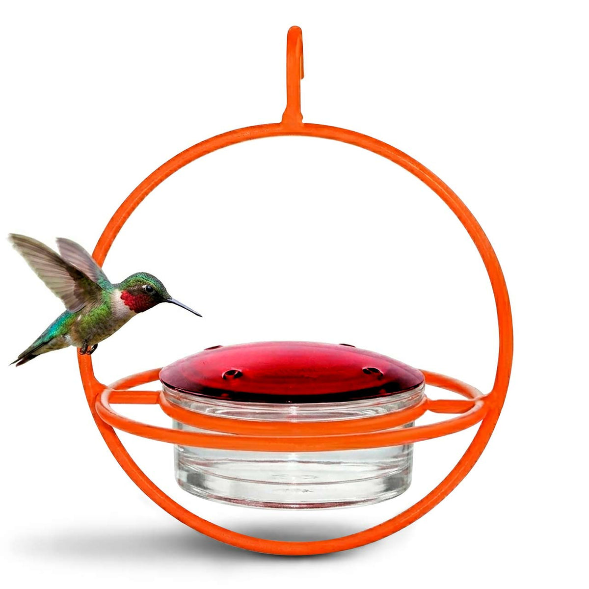 Mosaic Birds Hummble Bold Hummingbird Feeder