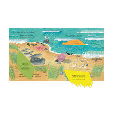Who's Hiding at the Beach?
