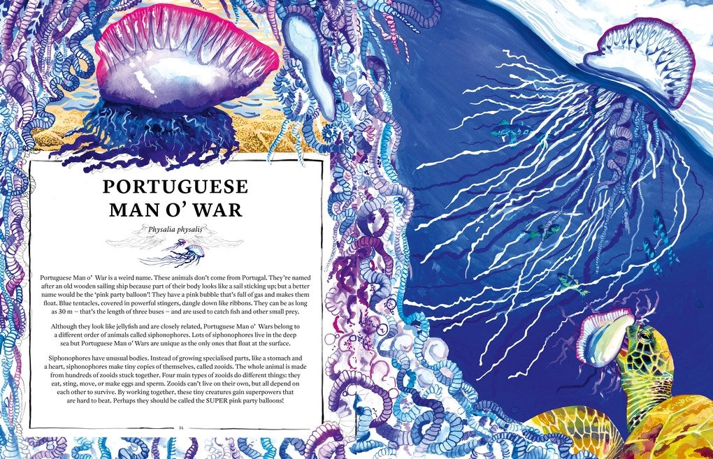 Oceanopedia