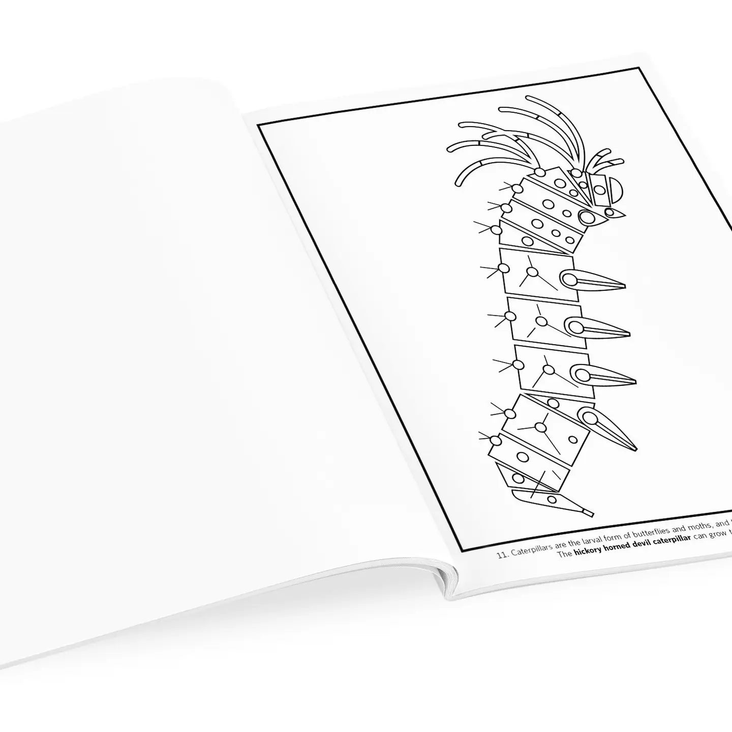 Charley Harper: Volume 2 Coloring Book