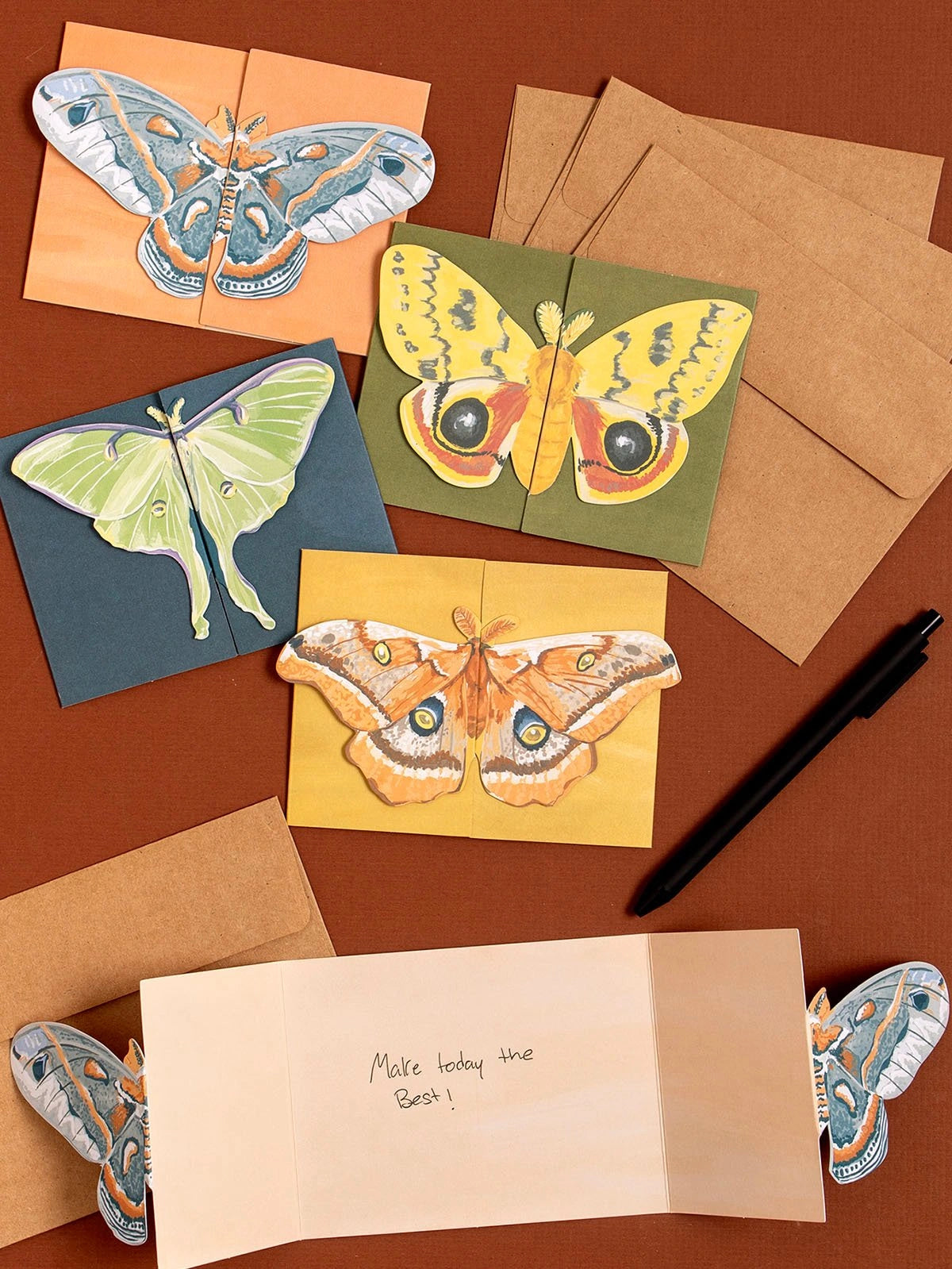 Fold Out Greeting Card Set