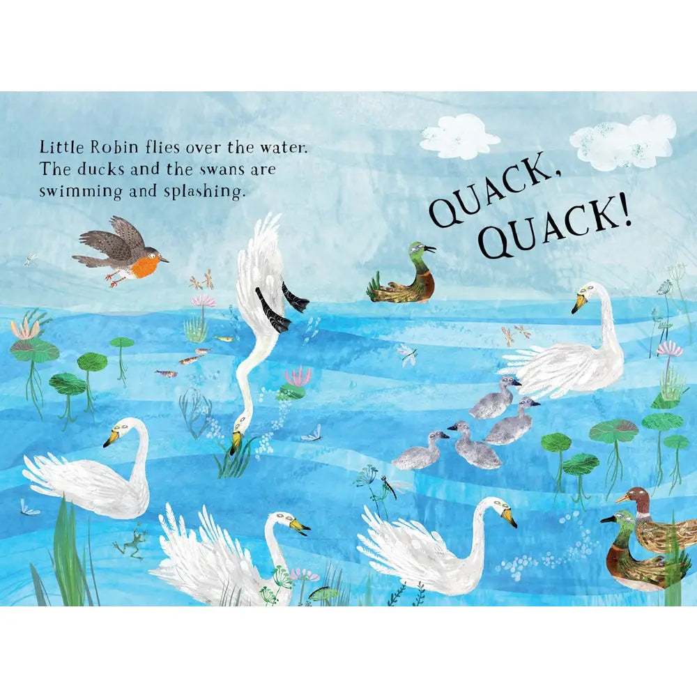 Little Robin's Book of Birds