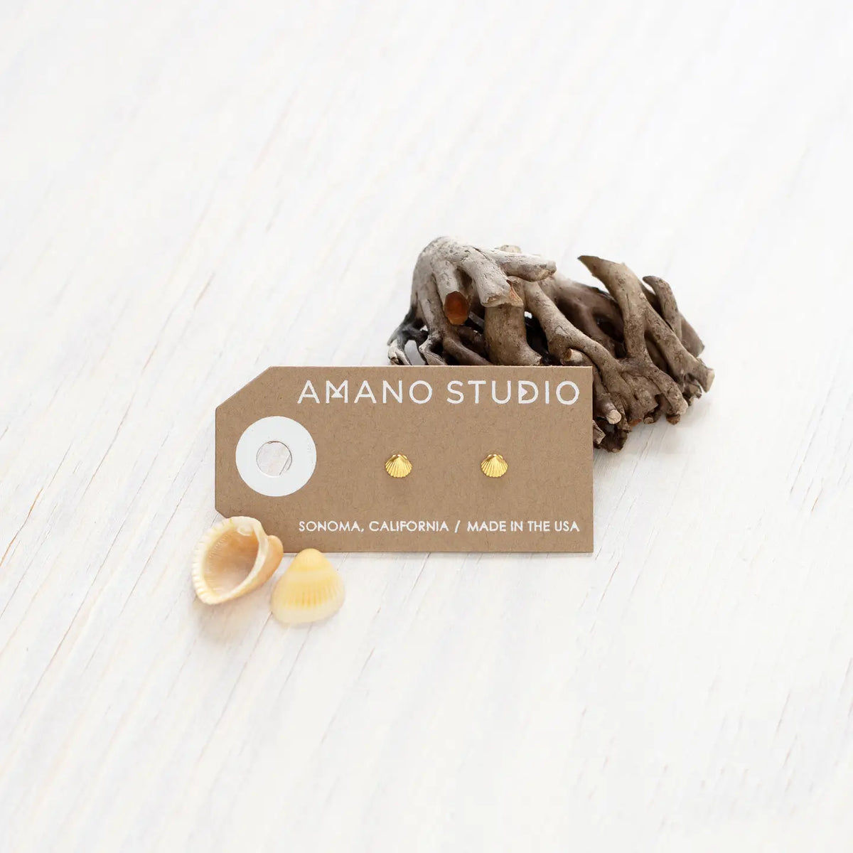 Tiny Shell Stud Earrings