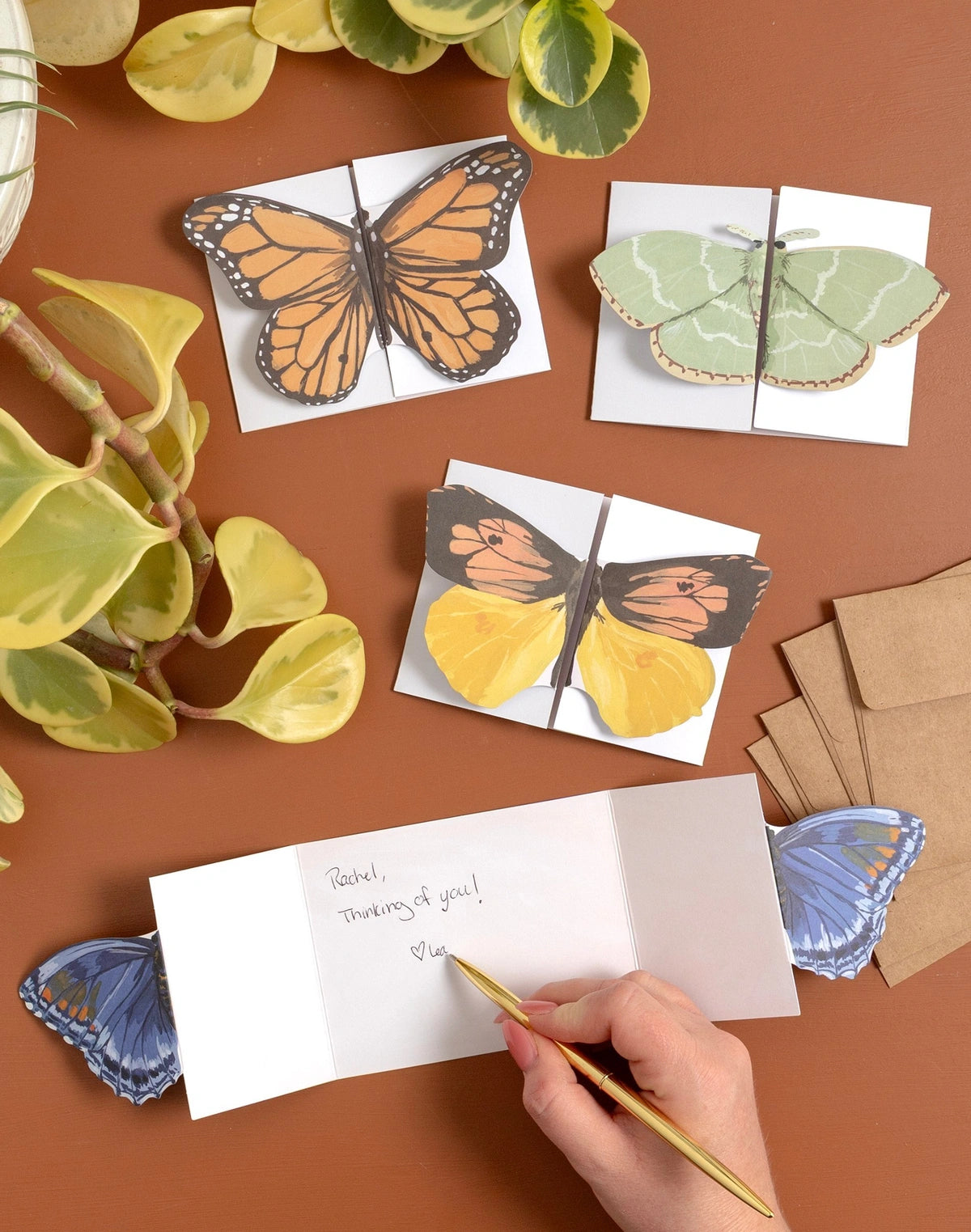Fold Out Greeting Card Set