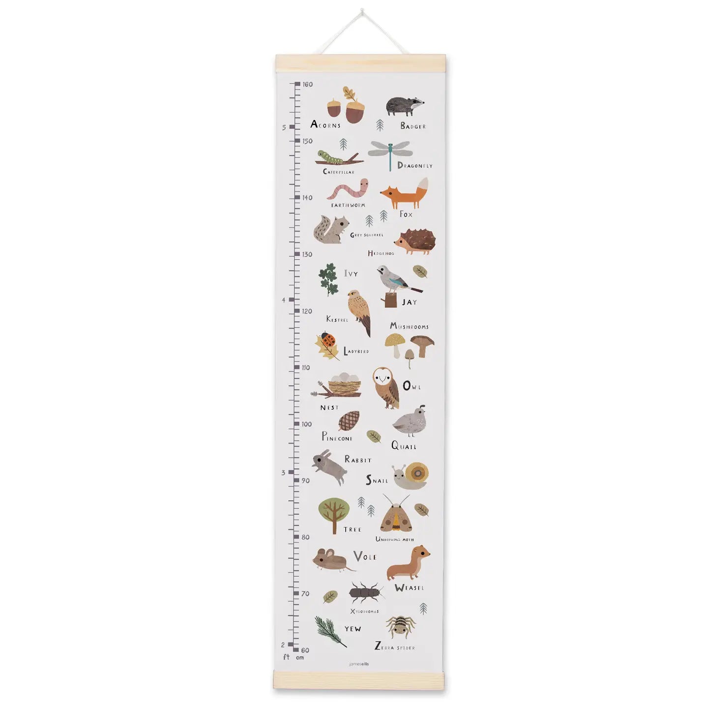 Alphabet Growth Height Chart