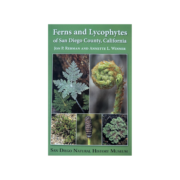 Ferns and Lycophytes