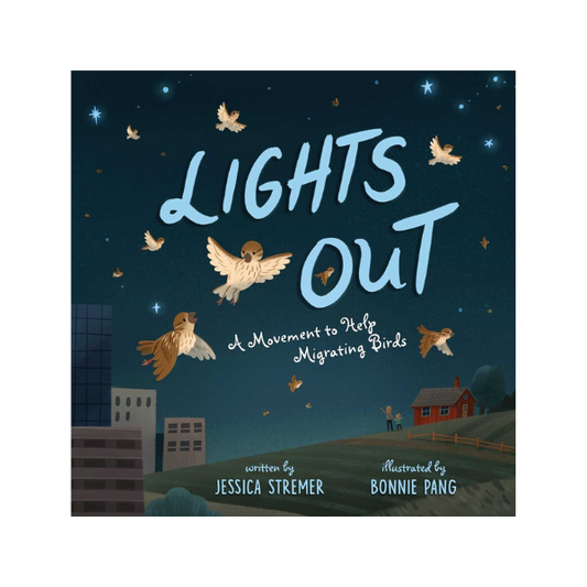 Lights Out