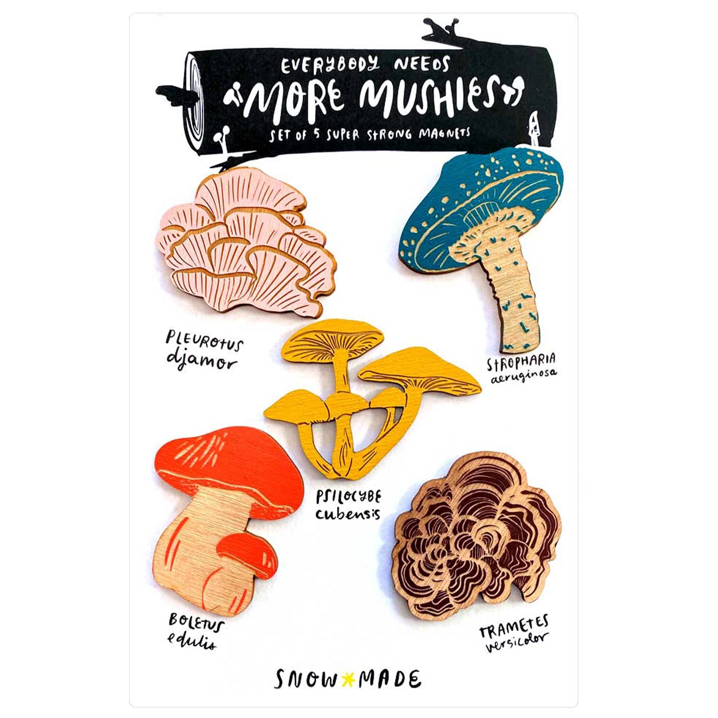 Magnet Sets