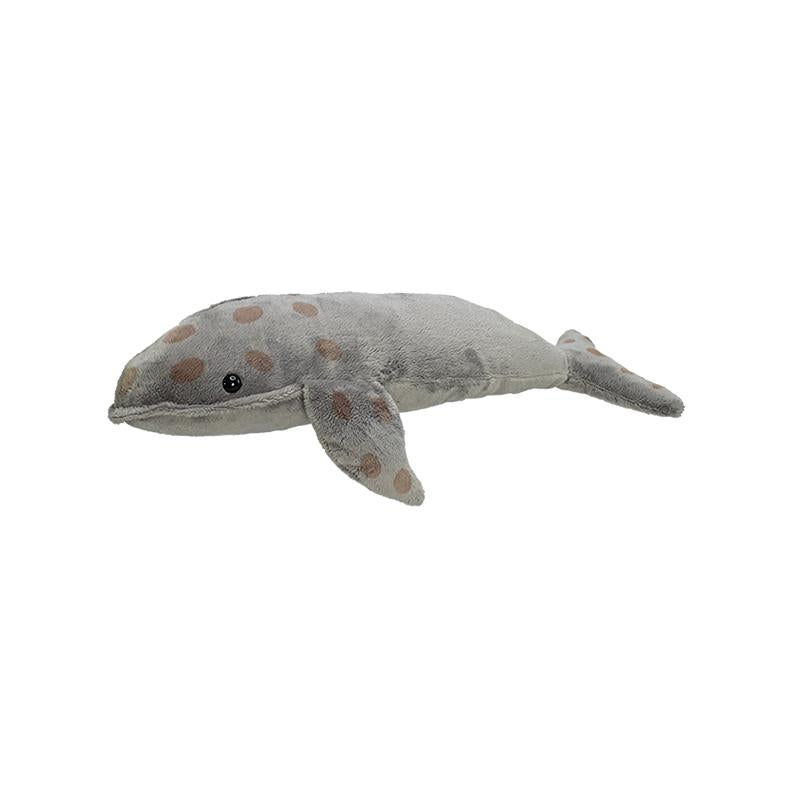 Gray Whale w/ Barnacles